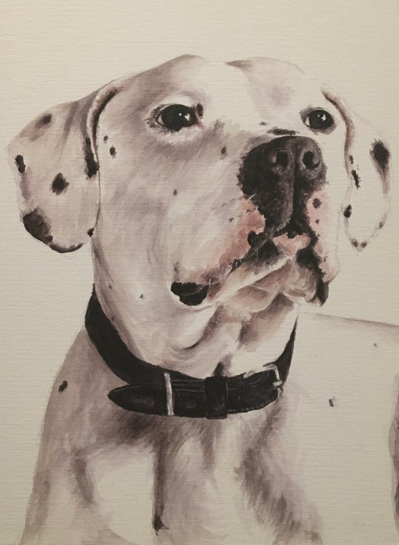 Dog colour painting