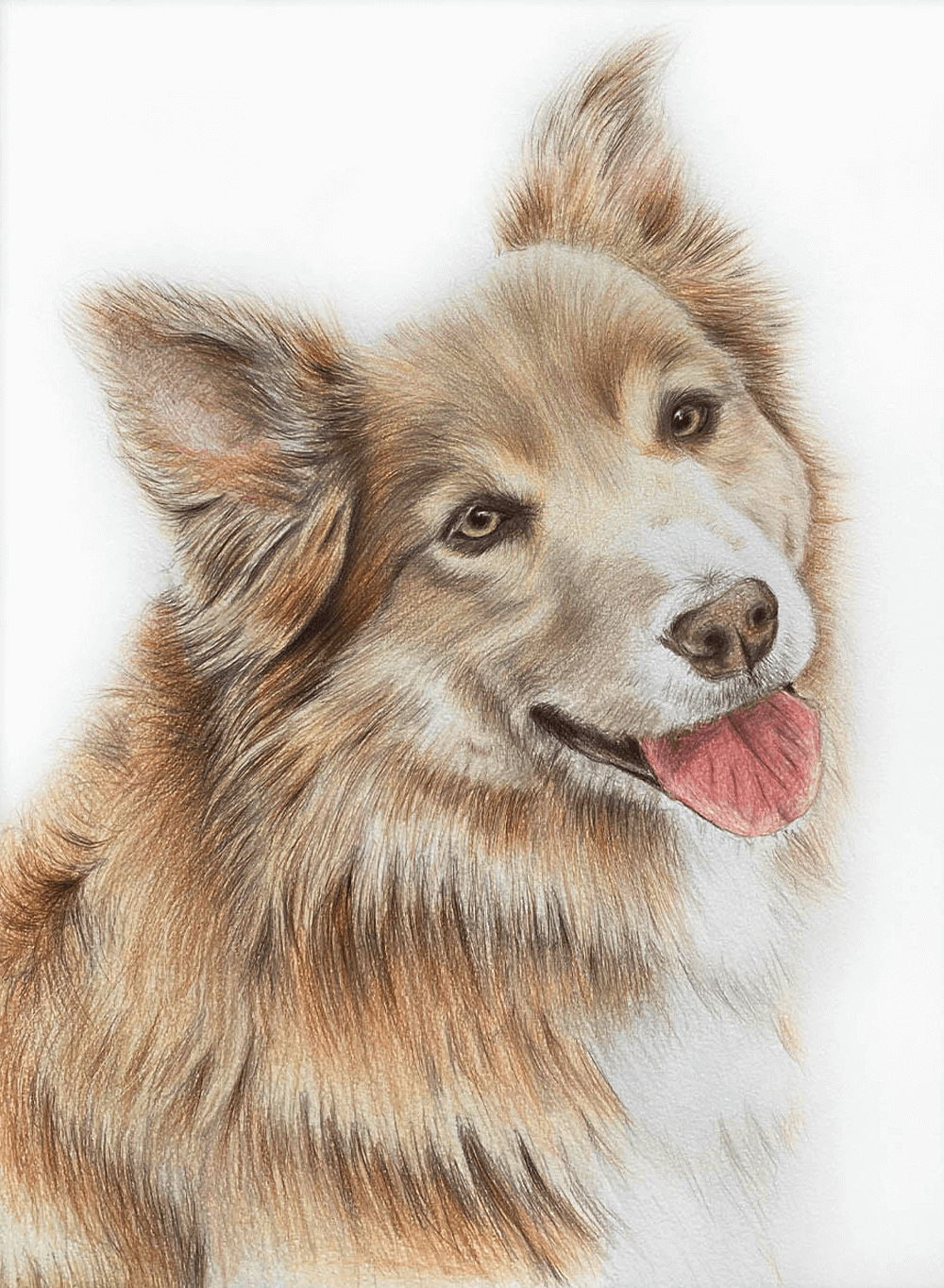 My first time drawing a realistic dog. Watercolor and colored pencils :  r/learnart