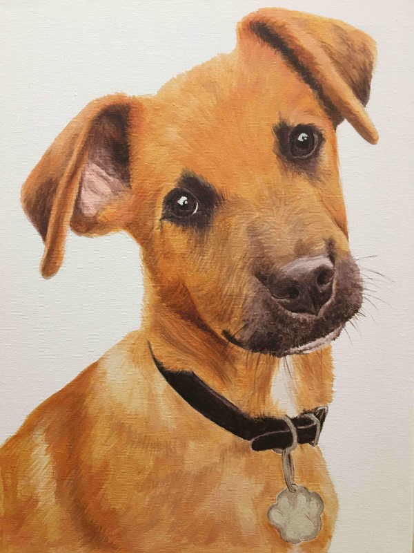 Pet portrait colour painting 